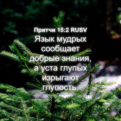 Picture 04 - Притчи 15:2 RUSV - Язык мудрых сообщает - Bible Verse Picture
