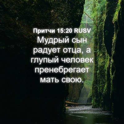 Picture 04 - Притчи 15:20 RUSV - Мудрый сын радует отца, а - Bible Verse Picture