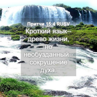 Picture 04 - Притчи 15:4 RUSV - Кроткий язык--древо жизни, - Bible Verse Picture