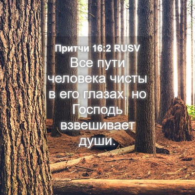 Picture 04 - Притчи 16:2 RUSV - Все пути человека чисты в - Bible Verse Picture