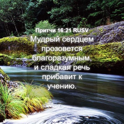 Picture 04 - Притчи 16:21 RUSV - Мудрый сердцем прозовется - Bible Verse Picture