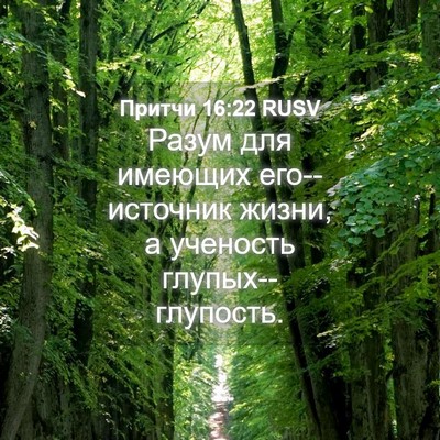 Picture 04 - Притчи 16:22 RUSV - Разум для имеющих - Bible Verse Picture