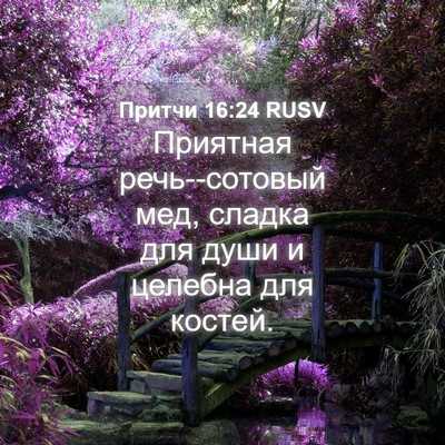 Picture 04 - Притчи 16:24 RUSV - Приятная речь--сотовый мед, - Bible Verse Picture