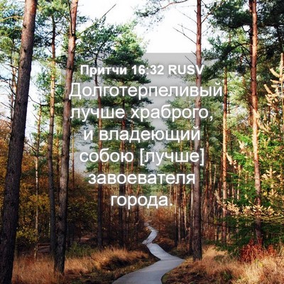 Picture 04 - Притчи 16:32 RUSV - Долготерпеливый лучше - Bible Verse Picture
