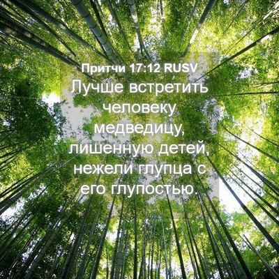 Picture 04 - Притчи 17:12 RUSV - Лучше встретить человеку - Bible Verse Picture