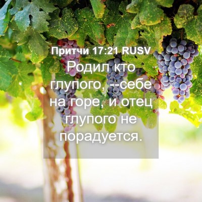 Picture 04 - Притчи 17:21 RUSV - Родил кто глупого, --себе на - Bible Verse Picture