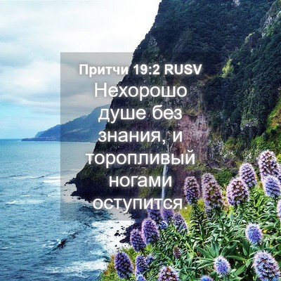 Picture 04 - Притчи 19:2 RUSV - Нехорошо душе без знания, и - Bible Verse Picture
