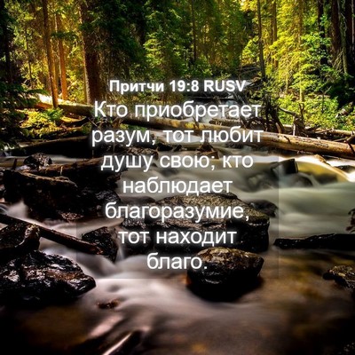 Picture 04 - Притчи 19:8 RUSV - Кто приобретает разум, тот - Bible Verse Picture