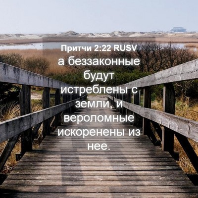 Picture 04 - Притчи 2:22 RUSV - а беззаконные будут - Bible Verse Picture