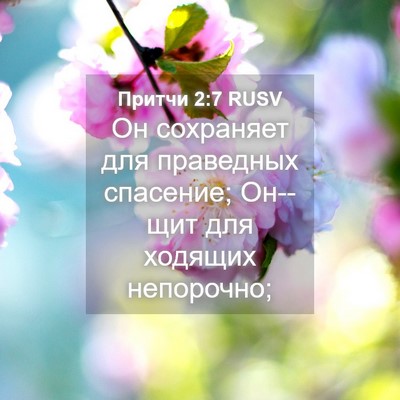 Picture 04 - Притчи 2:7 RUSV - Он сохраняет для праведных - Bible Verse Picture