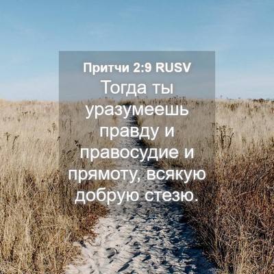 Picture 04 - Притчи 2:9 RUSV - Тогда ты уразумеешь правду - Bible Verse Picture