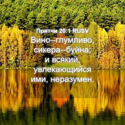 Picture 04 - Притчи 20:1 RUSV - Вино--глумливо, - Bible Verse Picture