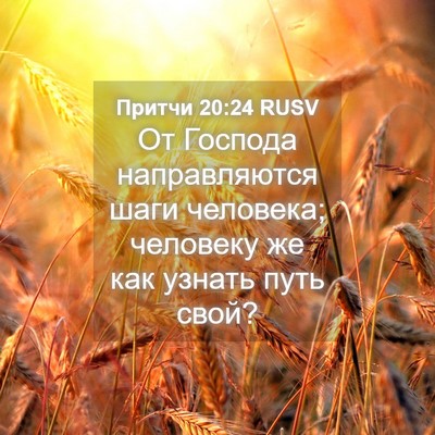 Picture 04 - Притчи 20:24 RUSV - От Господа направляются - Bible Verse Picture