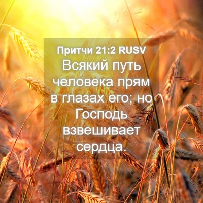 Picture 04 - Притчи 21:2 RUSV - Всякий путь человека прям - Bible Verse Picture