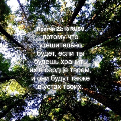 Picture 04 - Притчи 22:18 RUSV - потому что утешительно - Bible Verse Picture