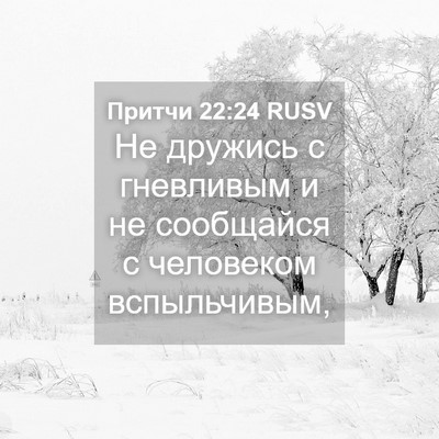 Picture 04 - Притчи 22:24 RUSV - Не дружись с гневливым и не - Bible Verse Picture