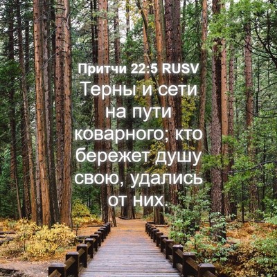 Picture 04 - Притчи 22:5 RUSV - Терны и сети на пути - Bible Verse Picture