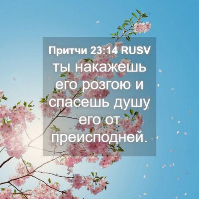 Picture 04 - Притчи 23:14 RUSV - ты накажешь его розгою и - Bible Verse Picture