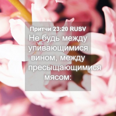 Picture 04 - Притчи 23:20 RUSV - Не будь между упивающимися - Bible Verse Picture