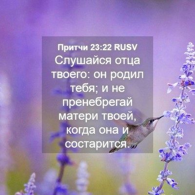 Picture 04 - Притчи 23:22 RUSV - Слушайся отца твоего: он - Bible Verse Picture