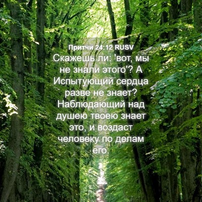Picture 04 - Притчи 24:12 RUSV - Скажешь ли: 'вот, мы не - Bible Verse Picture