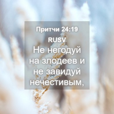 Picture 04 - Притчи 24:19 RUSV - Не негодуй на злодеев и не - Bible Verse Picture