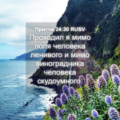 Picture 04 - Притчи 24:30 RUSV - Проходил я мимо поля - Bible Verse Picture