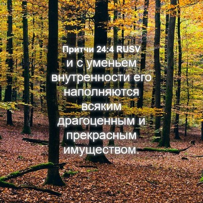 Picture 04 - Притчи 24:4 RUSV - и с уменьем внутренности - Bible Verse Picture