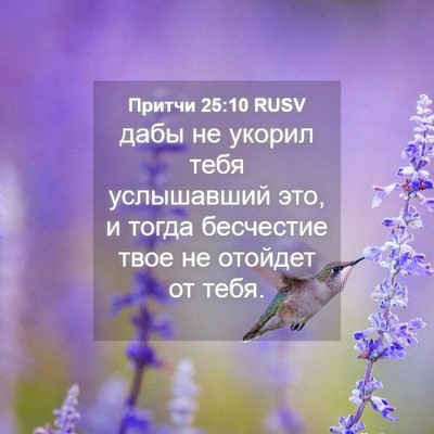 Picture 04 - Притчи 25:10 RUSV - дабы не укорил тебя - Bible Verse Picture