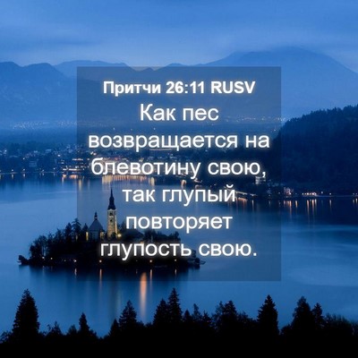 Picture 04 - Притчи 26:11 RUSV - Как пес возвращается на - Bible Verse Picture