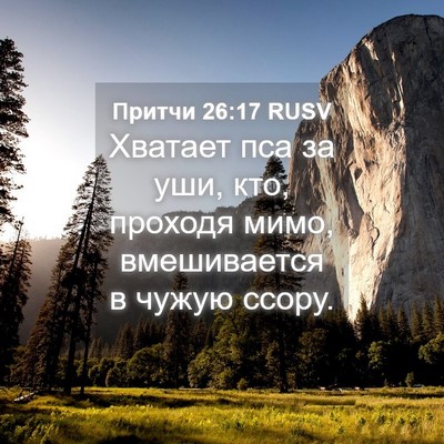 Picture 04 - Притчи 26:17 RUSV - Хватает пса за уши, кто, - Bible Verse Picture