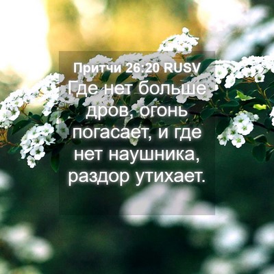 Picture 04 - Притчи 26:20 RUSV - Где нет больше дров, огонь - Bible Verse Picture