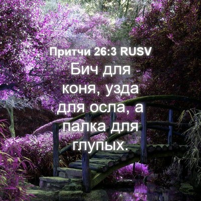 Picture 04 - Притчи 26:3 RUSV - Бич для коня, узда для осла, - Bible Verse Picture