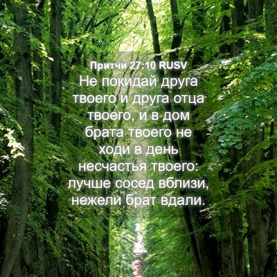 Picture 04 - Притчи 27:10 RUSV - Не покидай друга твоего и - Bible Verse Picture