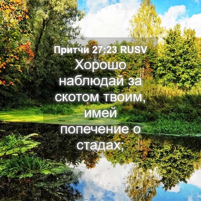 Picture 04 - Притчи 27:23 RUSV - Хорошо наблюдай за скотом - Bible Verse Picture