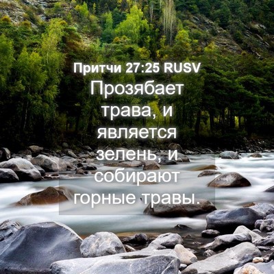 Picture 04 - Притчи 27:25 RUSV - Прозябает трава, и - Bible Verse Picture