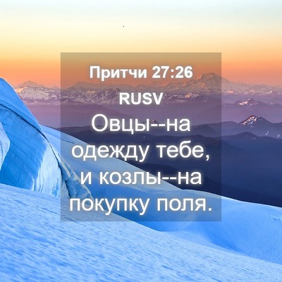 Picture 04 - Притчи 27:26 RUSV - Овцы--на одежду тебе, и - Bible Verse Picture