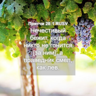 Picture 04 - Притчи 28:1 RUSV - Нечестивый бежит, когда - Bible Verse Picture