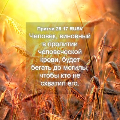 Picture 04 - Притчи 28:17 RUSV - Человек, виновный в - Bible Verse Picture