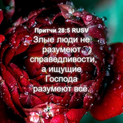 Picture 04 - Притчи 28:5 RUSV - Злые люди не разумеют - Bible Verse Picture