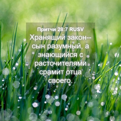 Picture 04 - Притчи 28:7 RUSV - Хранящий закон--сын - Bible Verse Picture