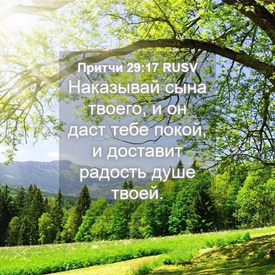 Picture 04 - Притчи 29:17 RUSV - Наказывай сына твоего, и он - Bible Verse Picture