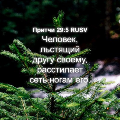 Picture 04 - Притчи 29:5 RUSV - Человек, льстящий другу - Bible Verse Picture