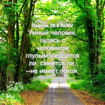 Picture 04 - Притчи 29:9 RUSV - Умный человек, судясь с - Bible Verse Picture