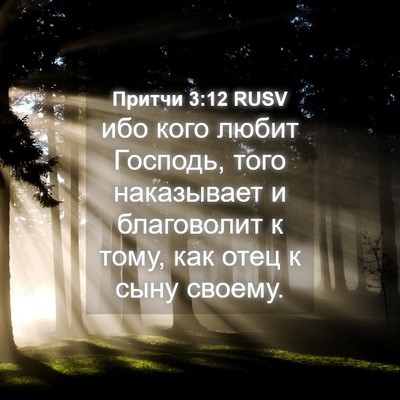 Picture 04 - Притчи 3:12 RUSV - ибо кого любит Господь, - Bible Verse Picture