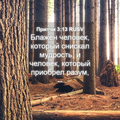 Picture 04 - Притчи 3:13 RUSV - Блажен человек, который - Bible Verse Picture