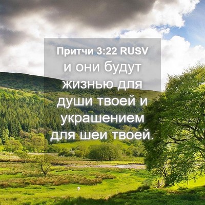 Picture 04 - Притчи 3:22 RUSV - и они будут жизнью для души - Bible Verse Picture