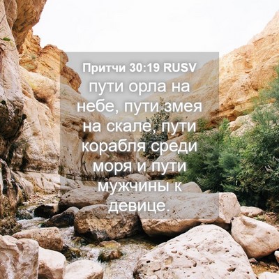 Picture 04 - Притчи 30:19 RUSV - пути орла на небе, пути - Bible Verse Picture