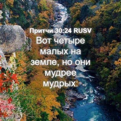 Picture 04 - Притчи 30:24 RUSV - Вот четыре малых на земле, - Bible Verse Picture
