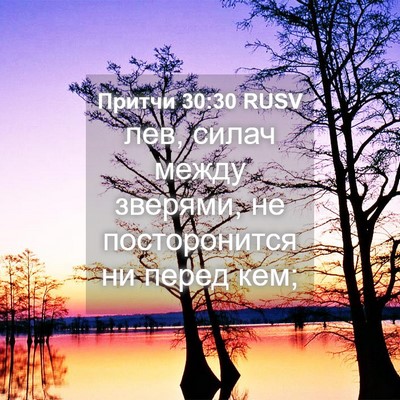 Picture 04 - Притчи 30:30 RUSV - лев, силач между зверями, - Bible Verse Picture